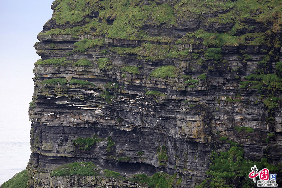 莫赫悬崖黑褐色的峭壁呈锯齿状