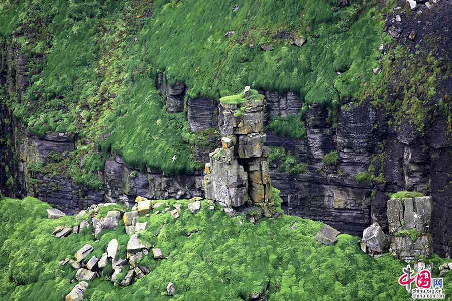 莫赫悬崖岩层密集