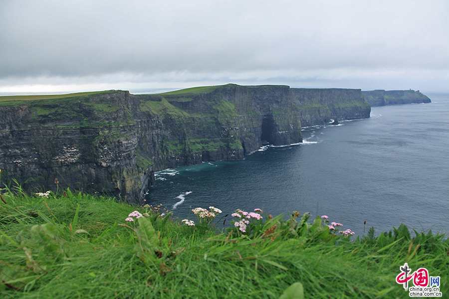 莫赫悬崖最古老的岩层位于悬崖低处