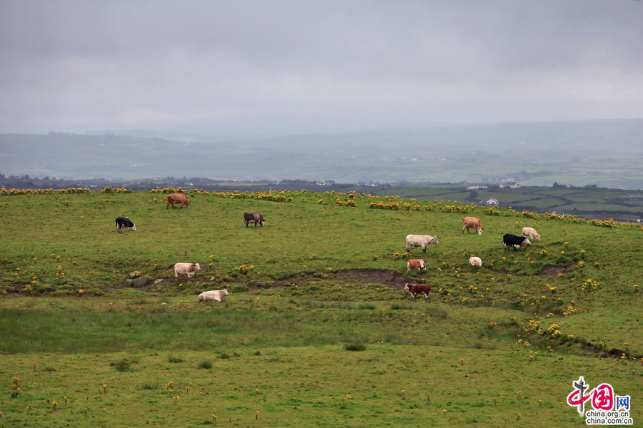 莫赫悬崖四周风光