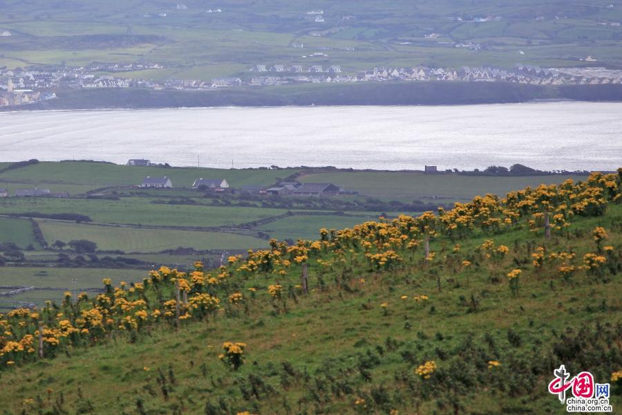 莫赫悬崖四周风光
