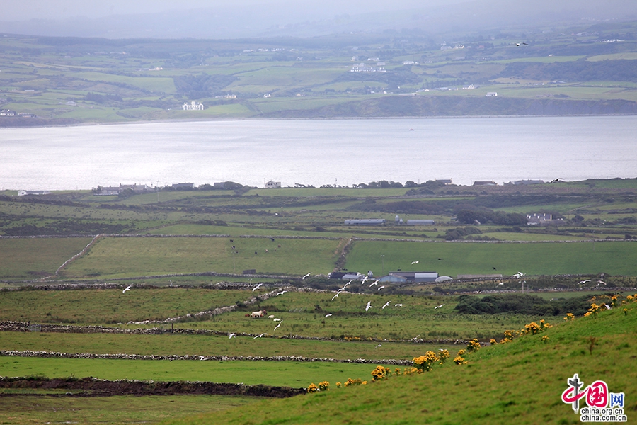 莫赫悬崖四周风光