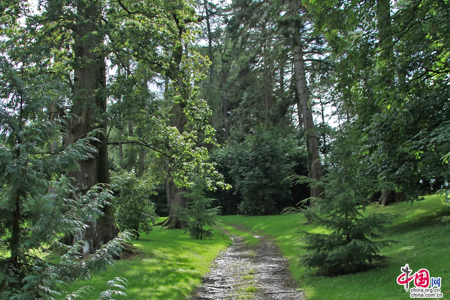 宝尔势格庄园古树参天