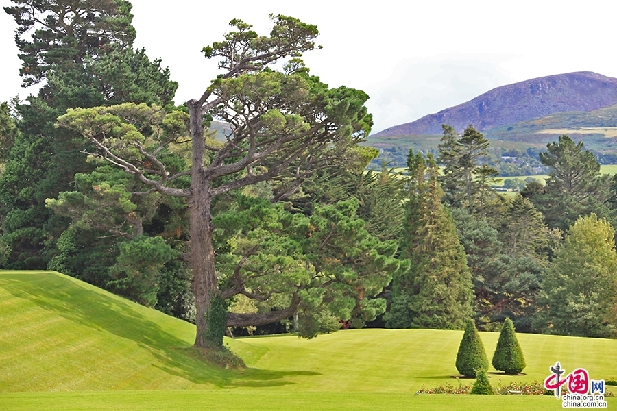 宝尔势格庄园古树参天