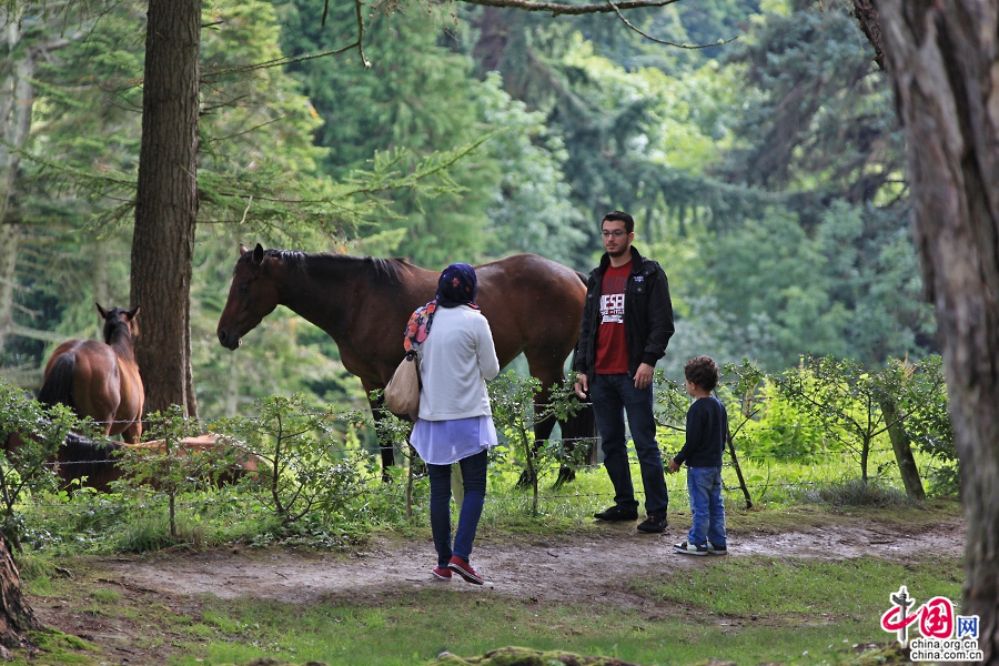 游客骑马游览宝尔势格庄园