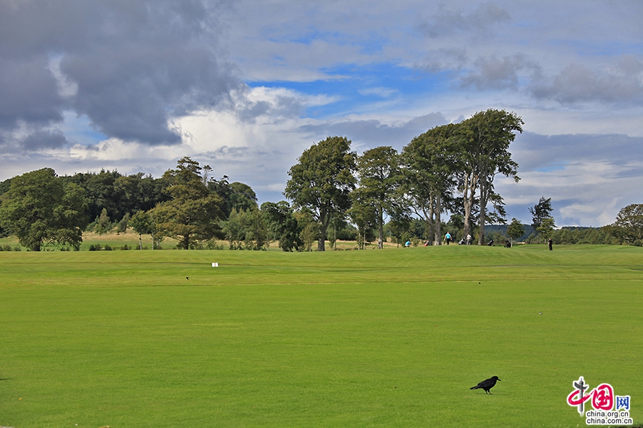宝尔势格庄园的大片平整草坪