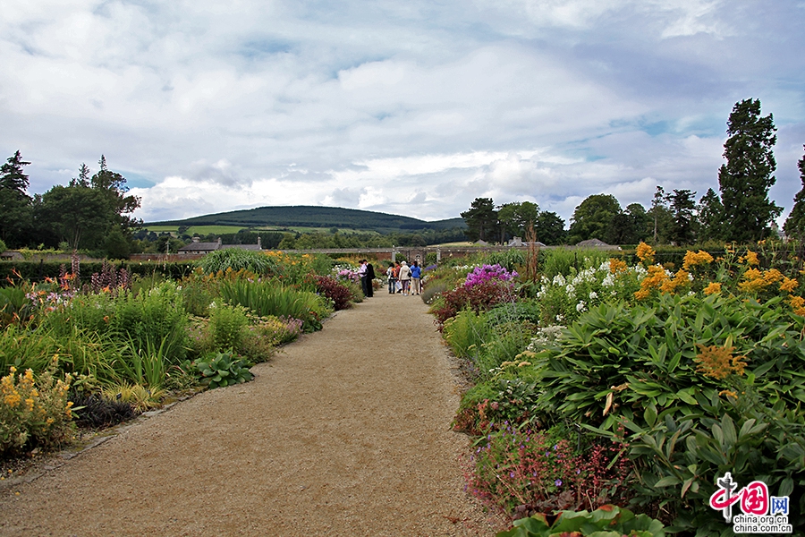 宝尔势格庄园花圃内花朵争奇斗艳