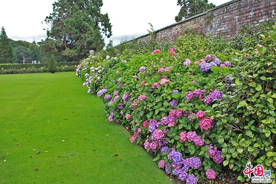 宝尔势格庄园花圃内花朵争奇斗艳