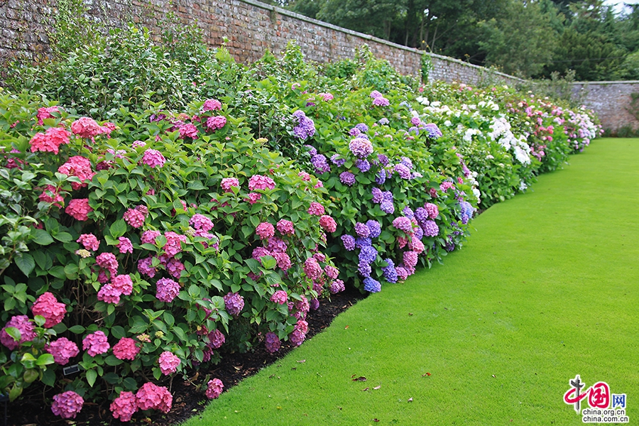 宝尔势格庄园四季繁花似锦