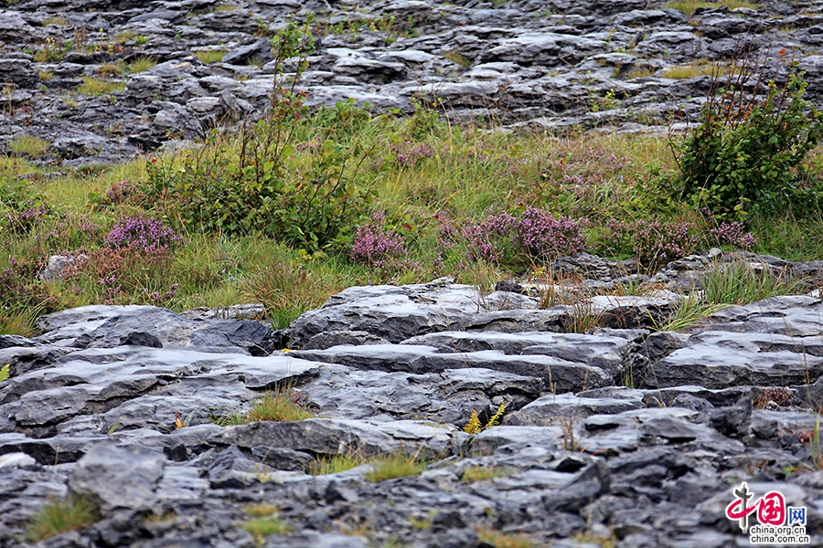 戈尔韦郡面积6,148平方公里