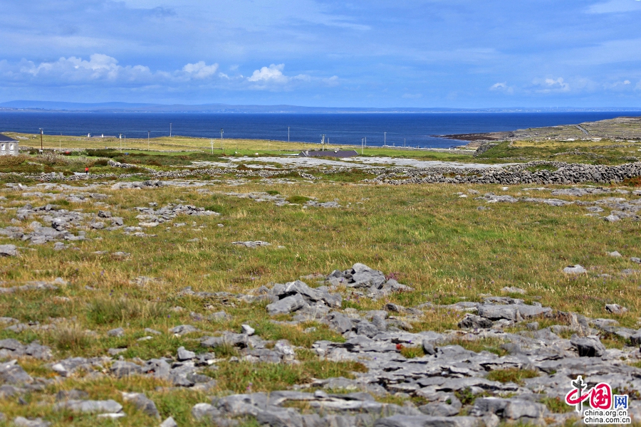 爱岛绿意(八 上)阿伦群岛