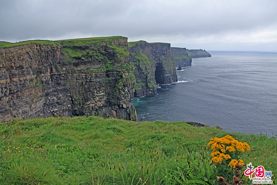 爱岛绿意(十 上)莫赫悬崖