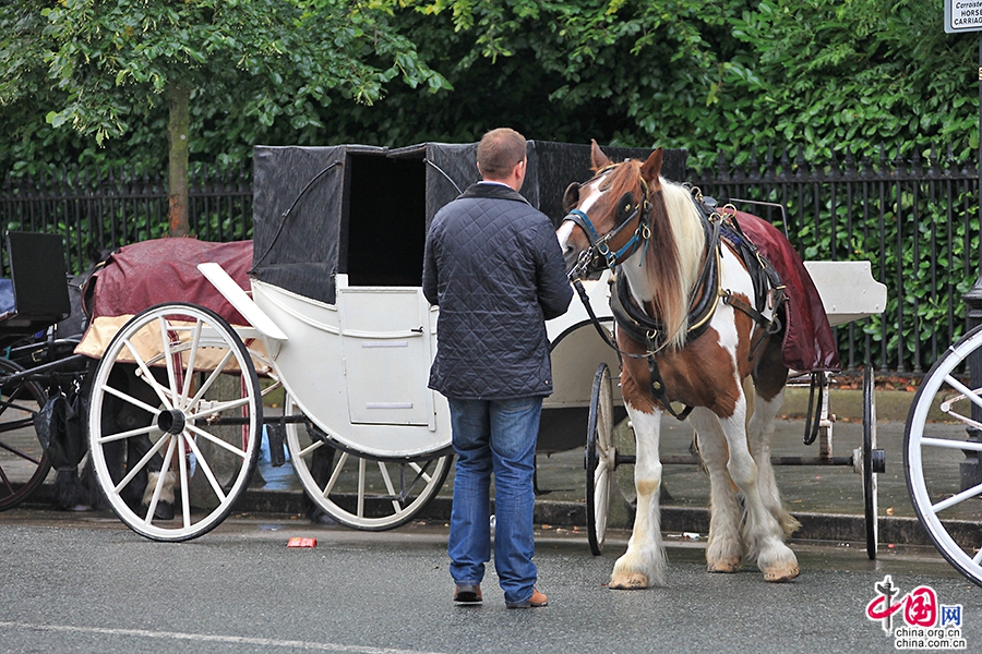 格拉夫顿街的主要交通工具是马车