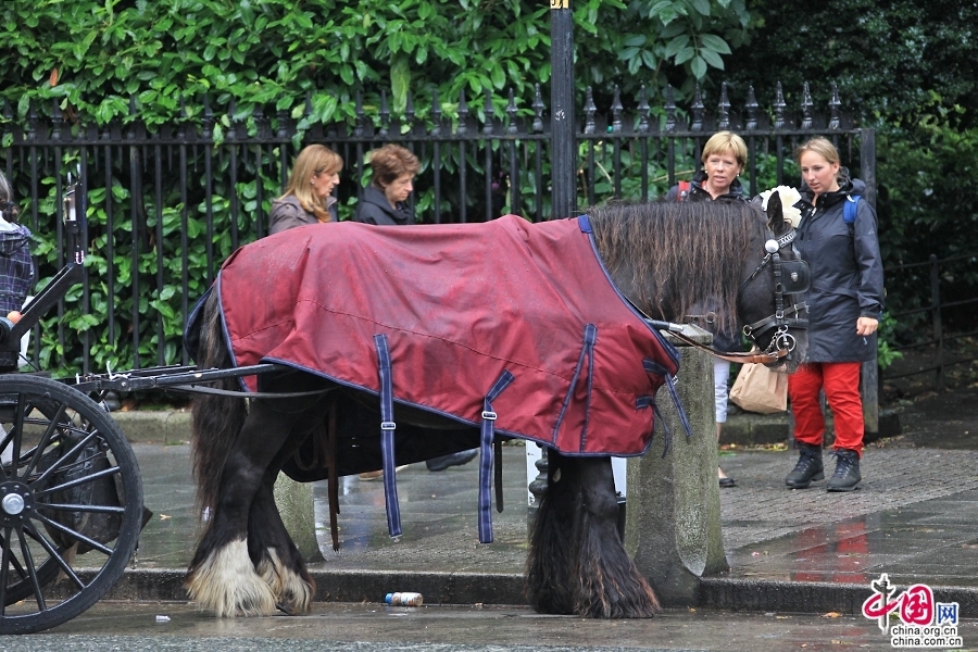 格拉夫顿街的主要交通工具是马车