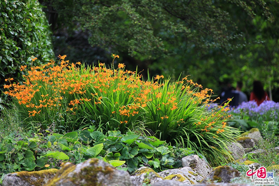 圣斯蒂芬绿地四季繁花似锦