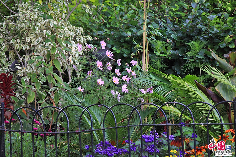圣斯蒂芬绿地四季繁花似锦