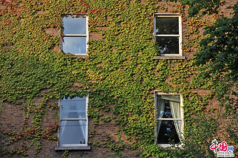 利菲河北岸建筑