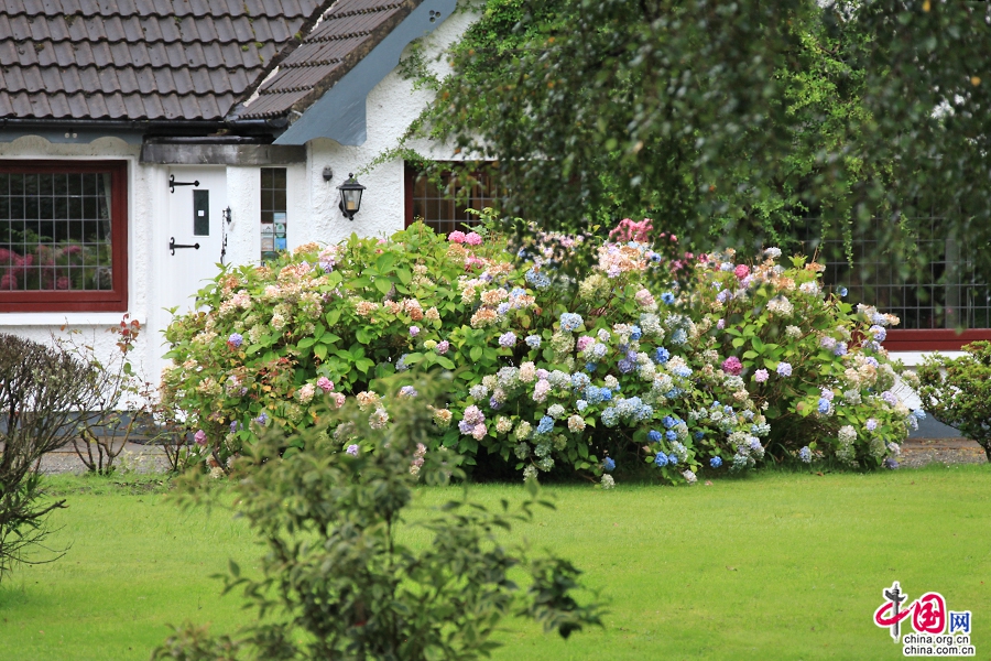 基拉尼小镇的园林