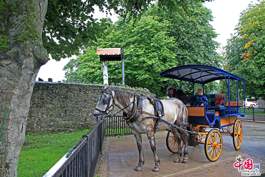 基拉尼小镇是基拉尼国家公园的一部分