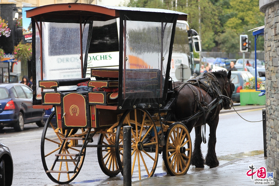 乘坐马车游国基拉尼国家公园是游客的首选