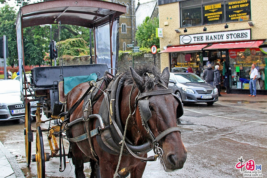 马车的出发点就位于基拉尼中心教堂一侧