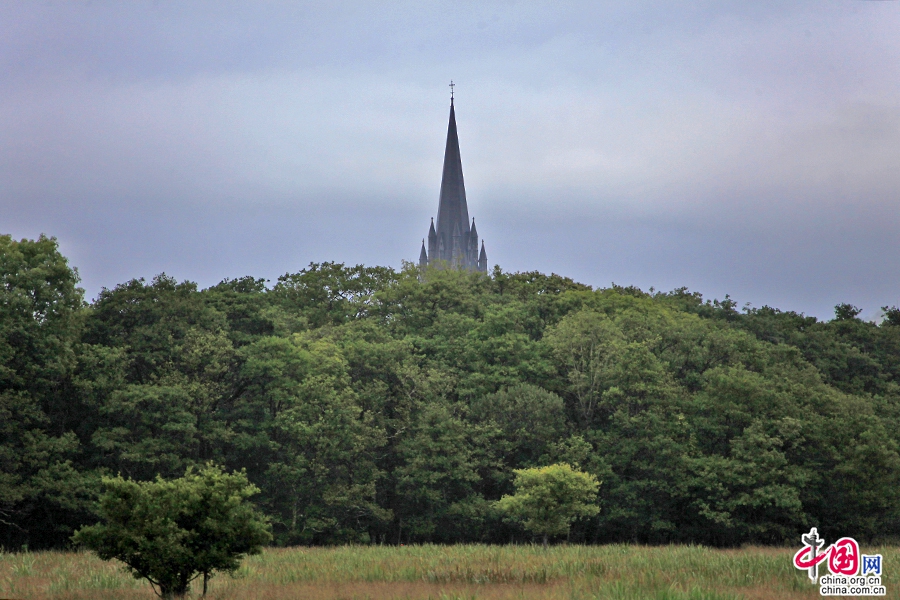 从基拉尼国家公园内眺望主教堂尖塔