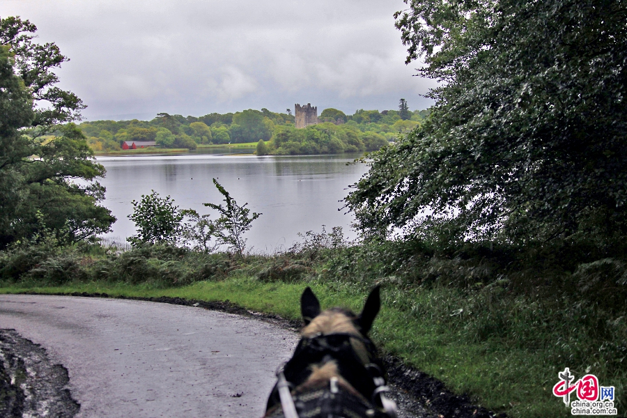 乘坐马车游览基拉尼国家公园