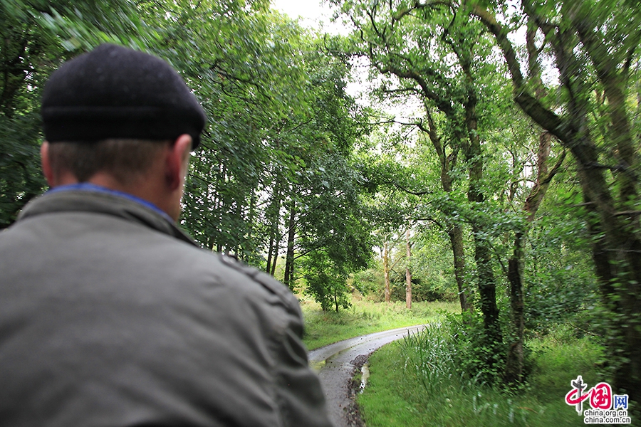 乘坐马车游览基拉尼国家公园