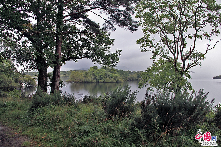 基拉尼国家公园是爱尔兰的第一个国家公园