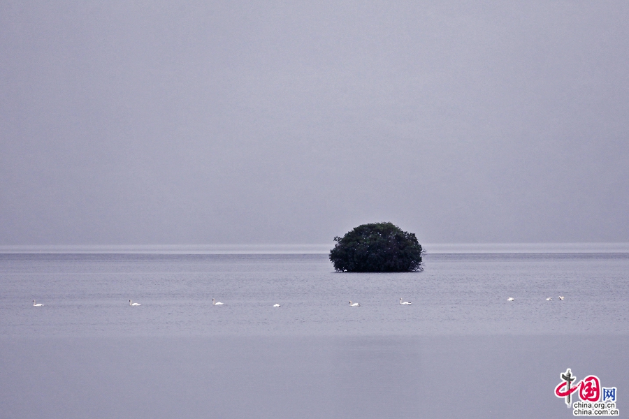 基拉尼湖下湖内有许多岛屿