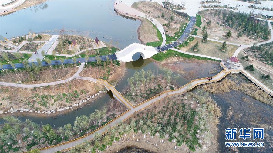 （环境）（3）河北邯郸：采煤塌陷地变生态公园