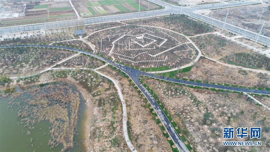 （环境）（4）河北邯郸：采煤塌陷地变生态公园