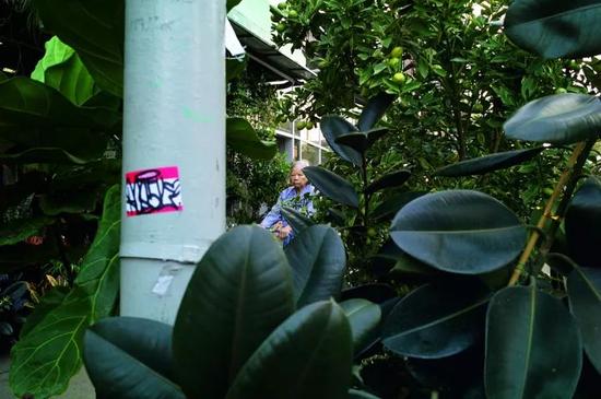 在二战前后,唐人街上的男女比例曾高达100: 1,是典型的光棍聚集地,随着《战时新娘法案》的推行,女性才逐渐多了起来。这位老太太,不知在唐人街有着怎样的过去。