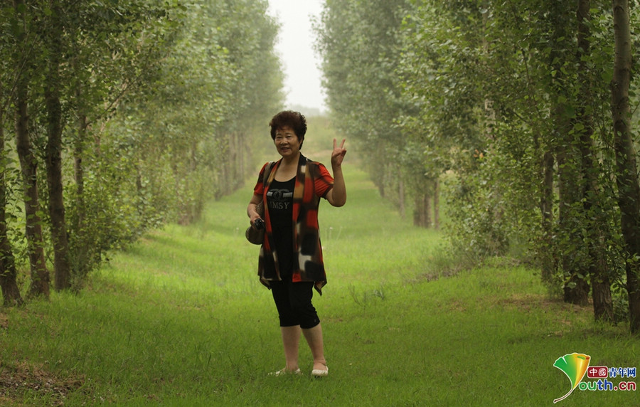 “大地妈妈”易解放和她的五百万棵“绿色生命树”