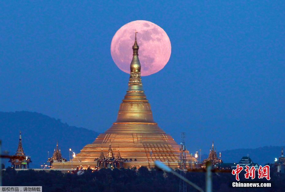 图为缅甸内比都欧巴达丹蒂佛塔旁升起的“超级月亮”。