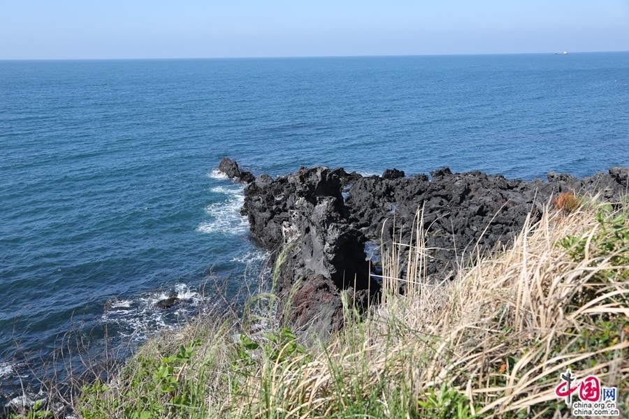 龙头岩所在的火山岩海岸