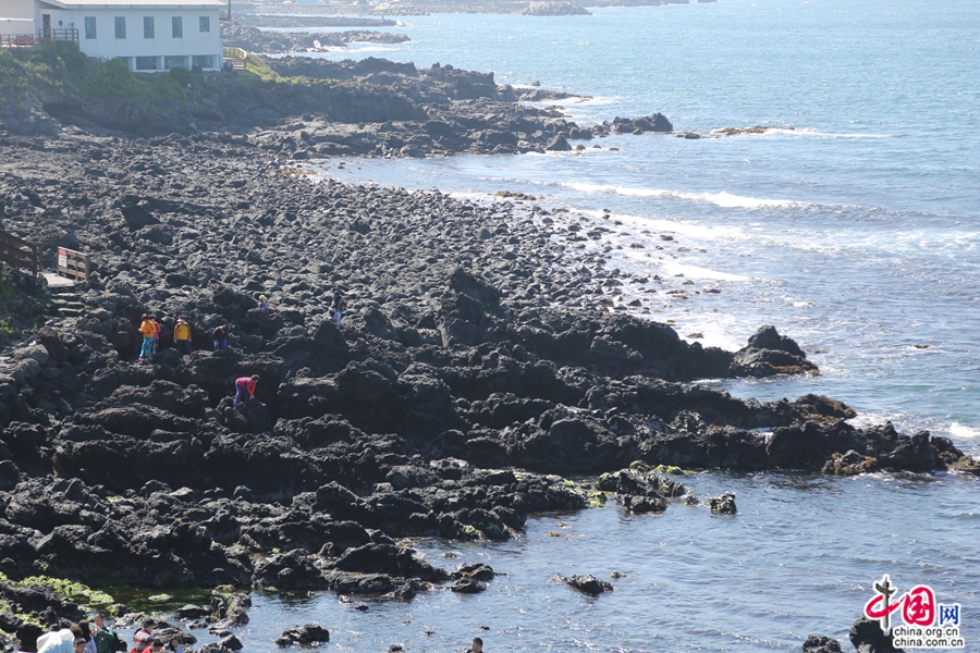 龙头岩所在的火山岩海岸