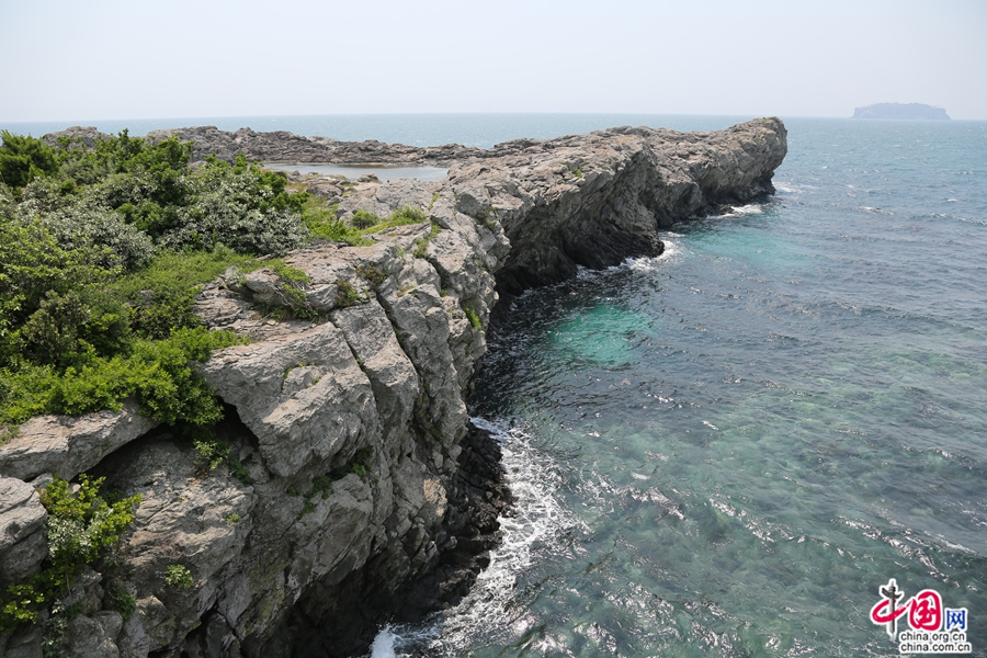 鸟岛有美丽的海岸线