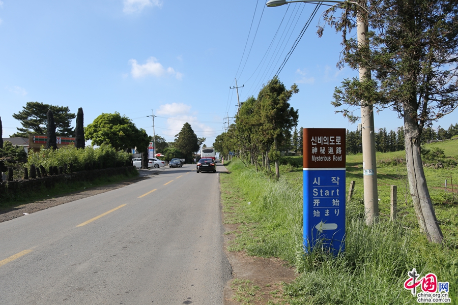 神秘道路位于西归浦通往汉拿山的途中