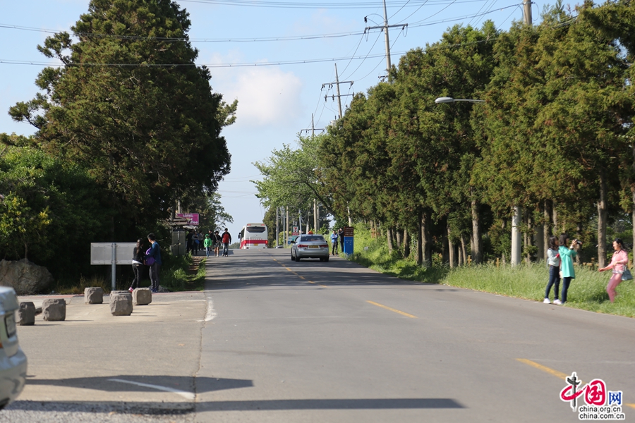 神秘道路是利用了上下坡的视觉关系带来了错觉