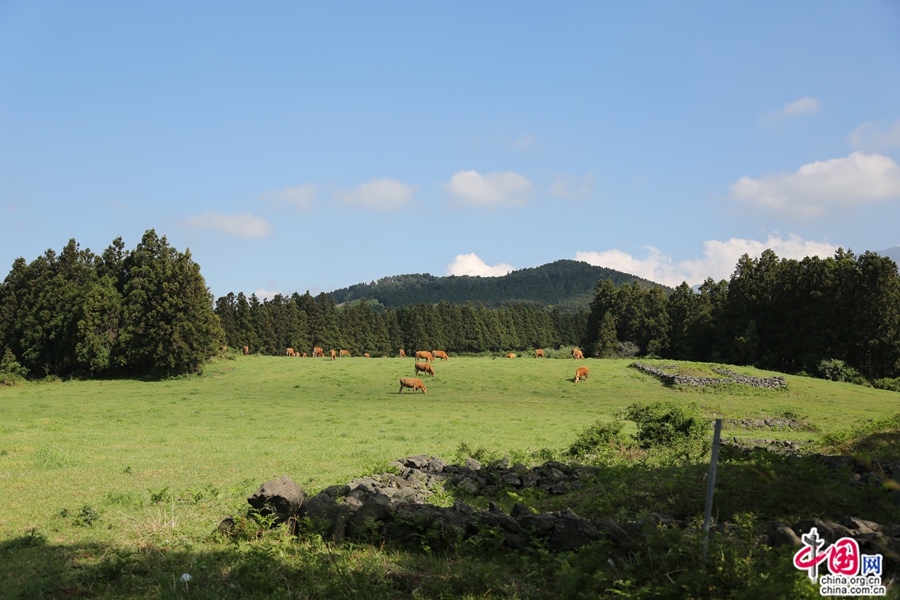 从神秘道路眺望汉拿山