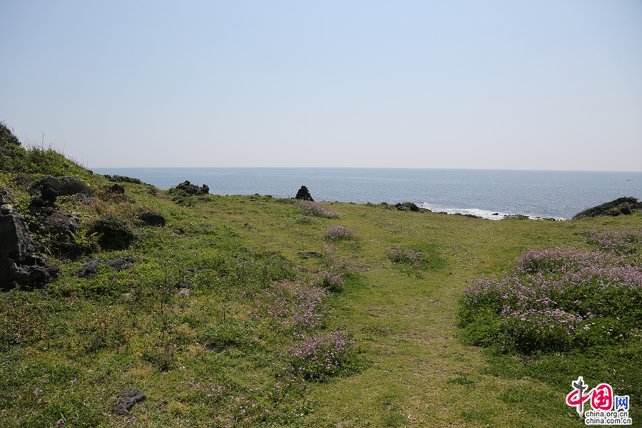 涉地岬风光