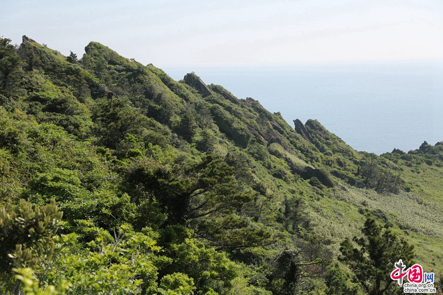 城山日出峰火山口四周绕着99块尖石