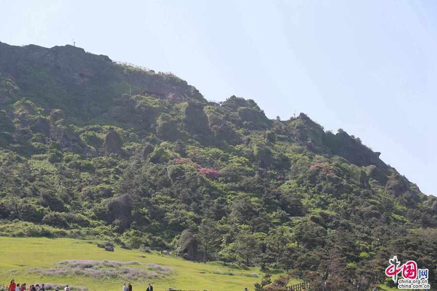 城山日出峰西北面是草坪山脊