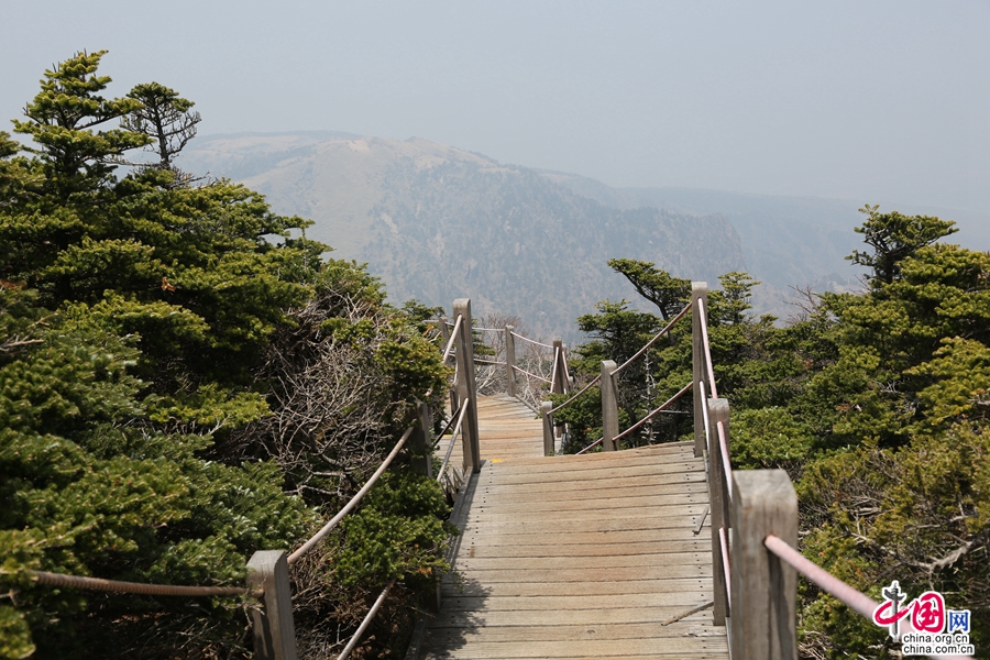 观音寺路线往返路程17.4km