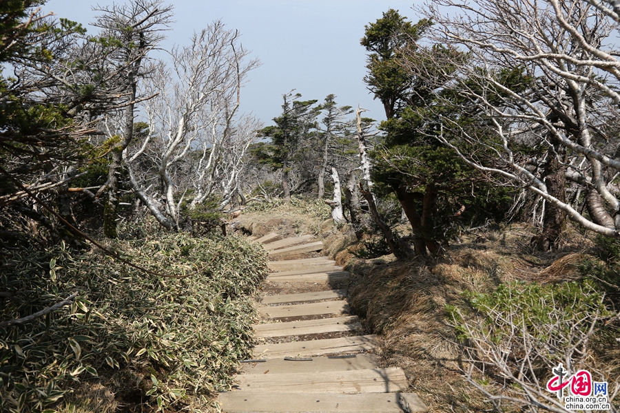 观音寺路线坡度较陡