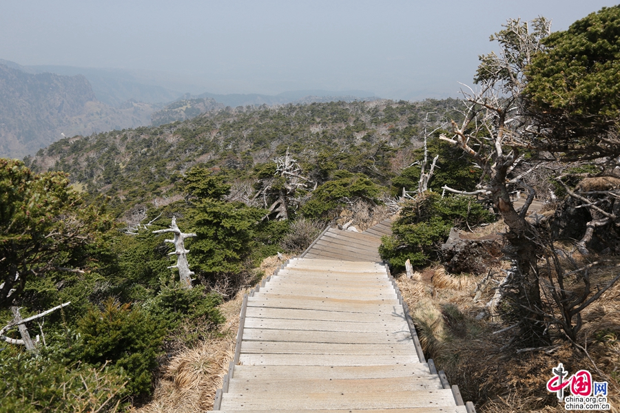 观音寺路线坡度较陡