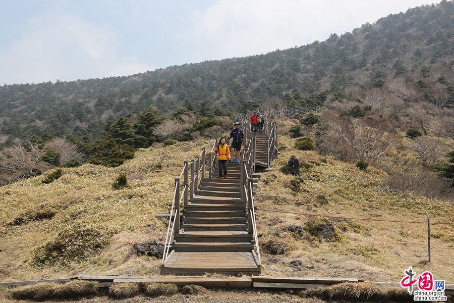 观音寺路线往返约需10小时