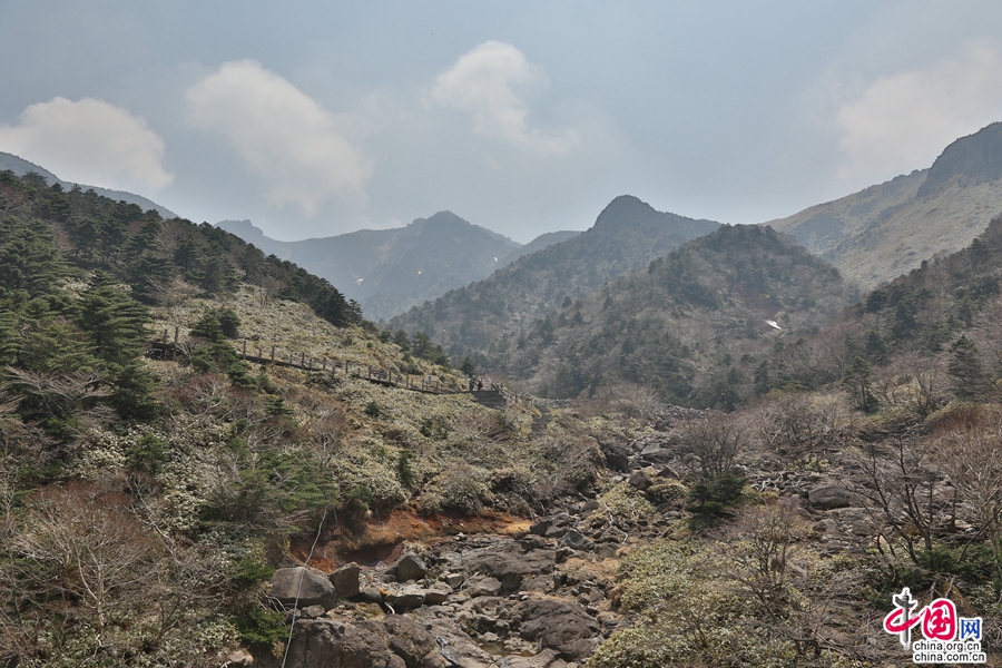 观音寺路线风景独特