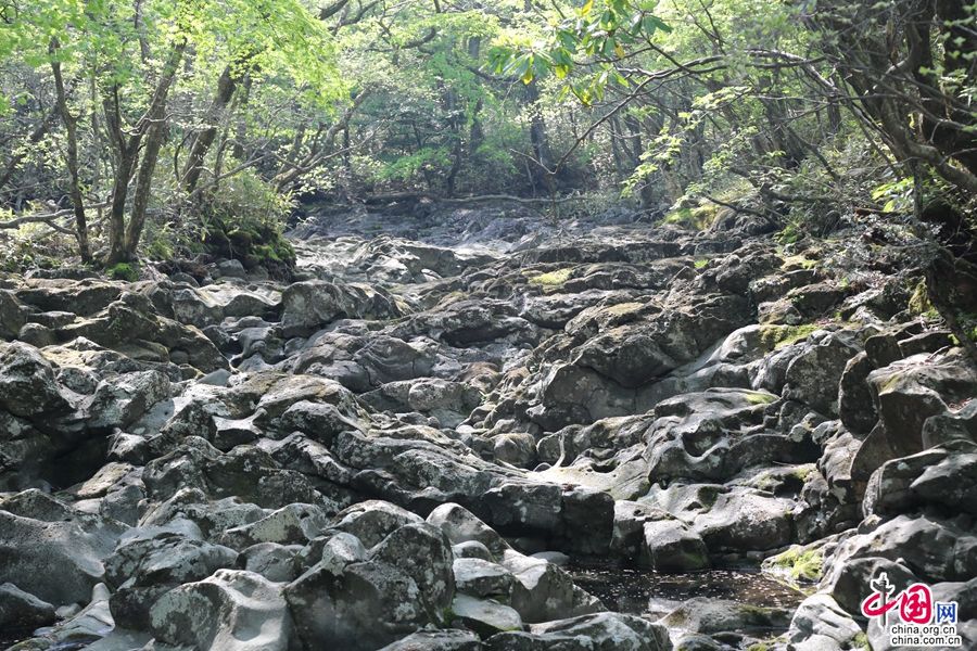 观音寺路线初段被溪水冲刷的鹅卵石